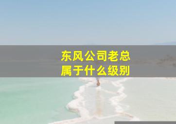 东风公司老总属于什么级别