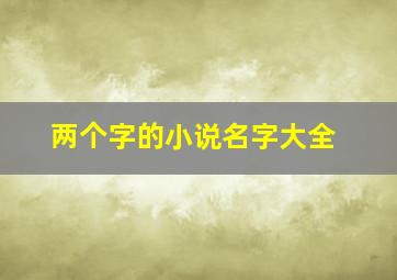 两个字的小说名字大全