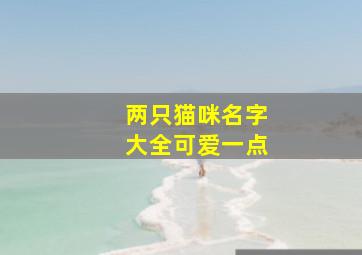 两只猫咪名字大全可爱一点