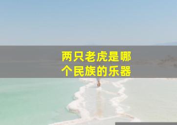 两只老虎是哪个民族的乐器