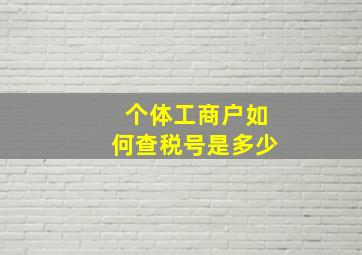 个体工商户如何查税号是多少