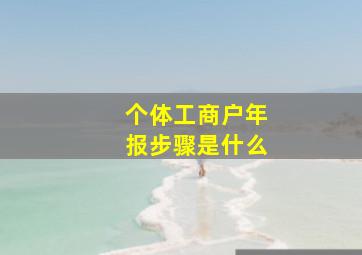 个体工商户年报步骤是什么