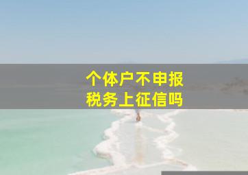 个体户不申报税务上征信吗