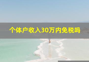 个体户收入30万内免税吗