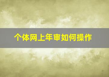 个体网上年审如何操作