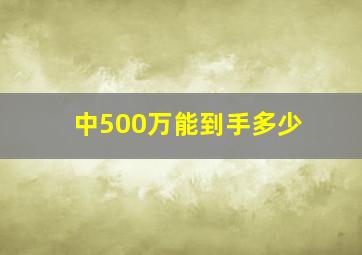 中500万能到手多少