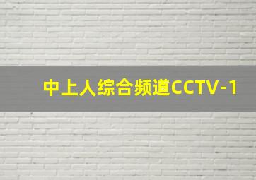 中上人综合频道CCTV-1