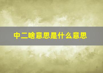 中二啥意思是什么意思