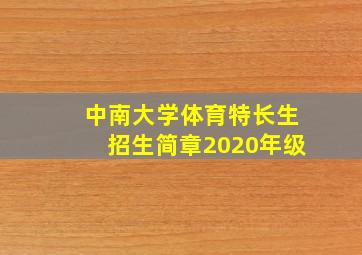 中南大学体育特长生招生简章2020年级