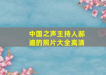 中国之声主持人郝迪的照片大全高清