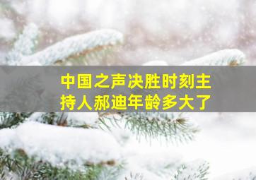 中国之声决胜时刻主持人郝迪年龄多大了