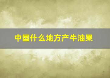 中国什么地方产牛油果