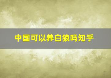 中国可以养白狼吗知乎