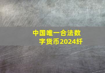 中国唯一合法数字货币2024纤