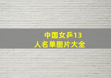 中国女乒13人名单图片大全