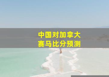 中国对加拿大赛马比分预测