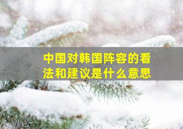 中国对韩国阵容的看法和建议是什么意思