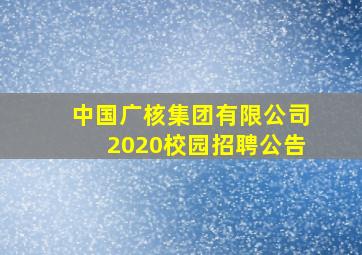 中国广核集团有限公司2020校园招聘公告