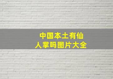 中国本土有仙人掌吗图片大全