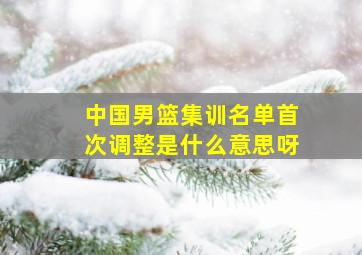 中国男篮集训名单首次调整是什么意思呀