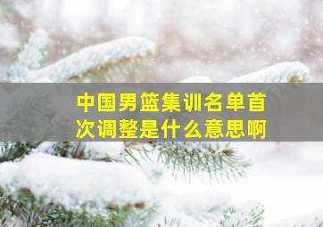 中国男篮集训名单首次调整是什么意思啊