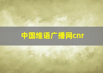 中国维语广播网cnr