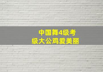 中国舞4级考级大公鸡爱美丽