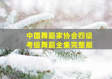 中国舞蹈家协会四级考级舞蹈全集完整版