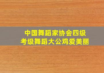 中国舞蹈家协会四级考级舞蹈大公鸡爱美丽