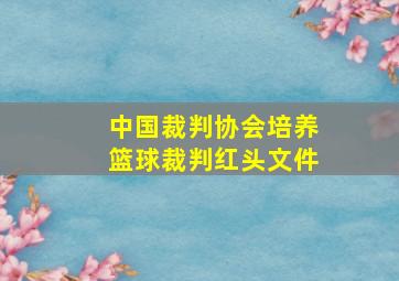 中国裁判协会培养篮球裁判红头文件