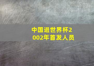 中国进世界杯2002年首发人员