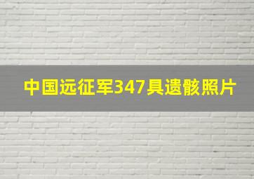 中国远征军347具遗骸照片