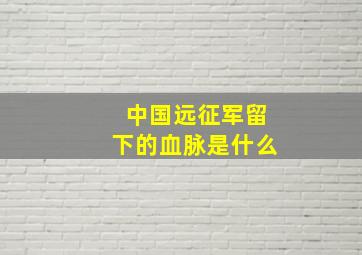 中国远征军留下的血脉是什么