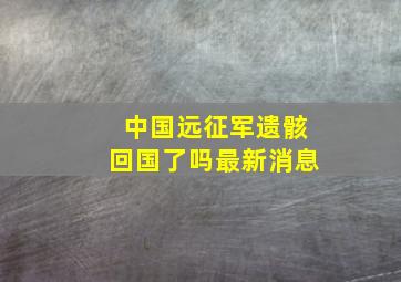 中国远征军遗骸回国了吗最新消息