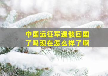 中国远征军遗骸回国了吗现在怎么样了啊