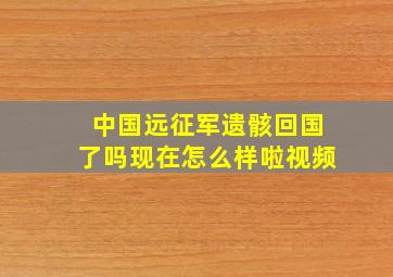 中国远征军遗骸回国了吗现在怎么样啦视频