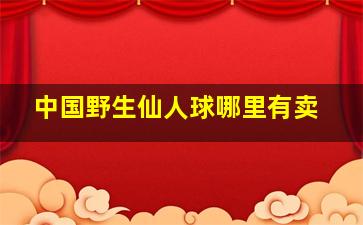 中国野生仙人球哪里有卖