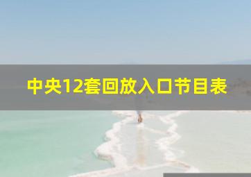 中央12套回放入口节目表