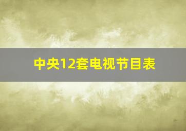 中央12套电视节目表