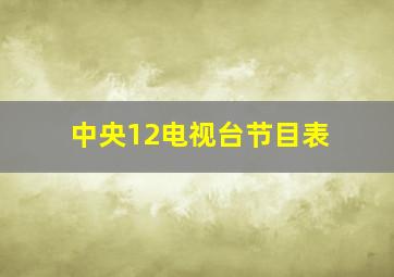 中央12电视台节目表