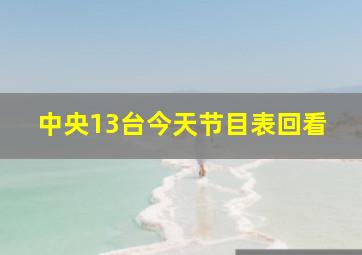 中央13台今天节目表回看