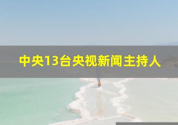 中央13台央视新闻主持人