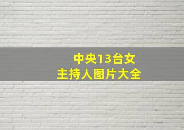 中央13台女主持人图片大全