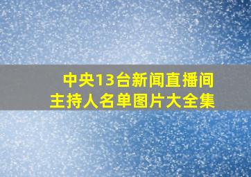 中央13台新闻直播间主持人名单图片大全集