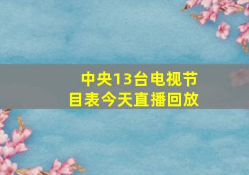 中央13台电视节目表今天直播回放