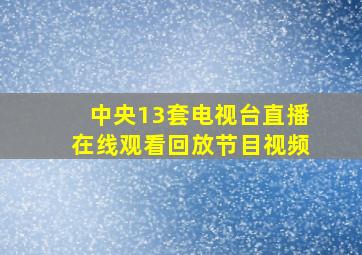 中央13套电视台直播在线观看回放节目视频