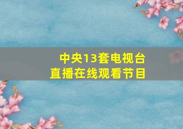 中央13套电视台直播在线观看节目