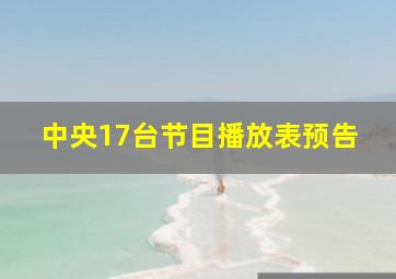 中央17台节目播放表预告