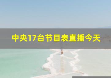 中央17台节目表直播今天