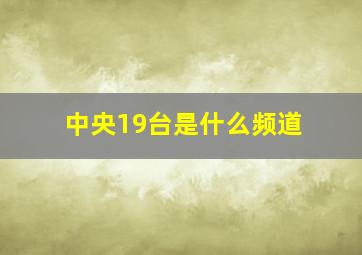 中央19台是什么频道